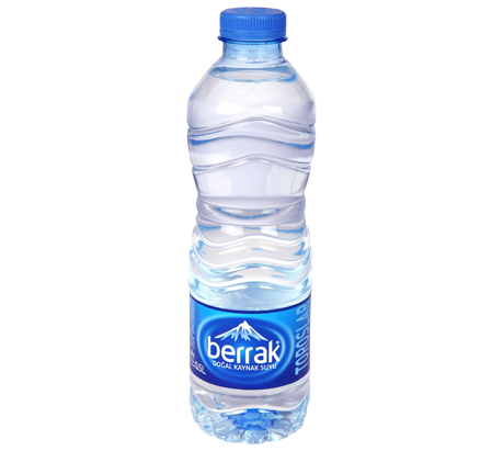 Berrak 0.5 Litre Pet Su